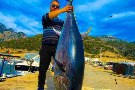 ANTALYA PRIVATE FISHING DAILY TOUR (CATCH BIG FISH!)