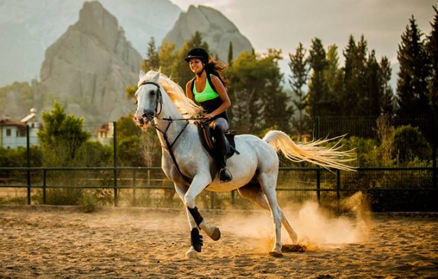 HORSE RIDING GUIDED TOUR WITH PRIVATE TRANSFER