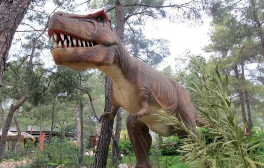 T-rex model in a dinopark