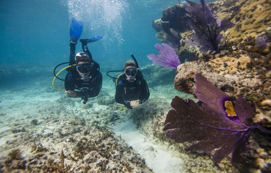 Two people scuba diving in Antalya